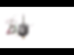 NEMA 8시 20분 밀리미터 지름 양극성 하이브리드 스텝 모터