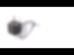 NEMA 8시 20분 밀리미터 지름 양극성 하이브리드 스텝 모터