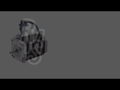 57 밀리미터 NEMA 스텝 모터