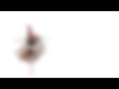 10 밀리미터 작은 영구자석 스테핑 모터 5v 2는 18 급을 단계적으로 시행합니다